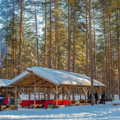Туристическая деревня "Мандроги"